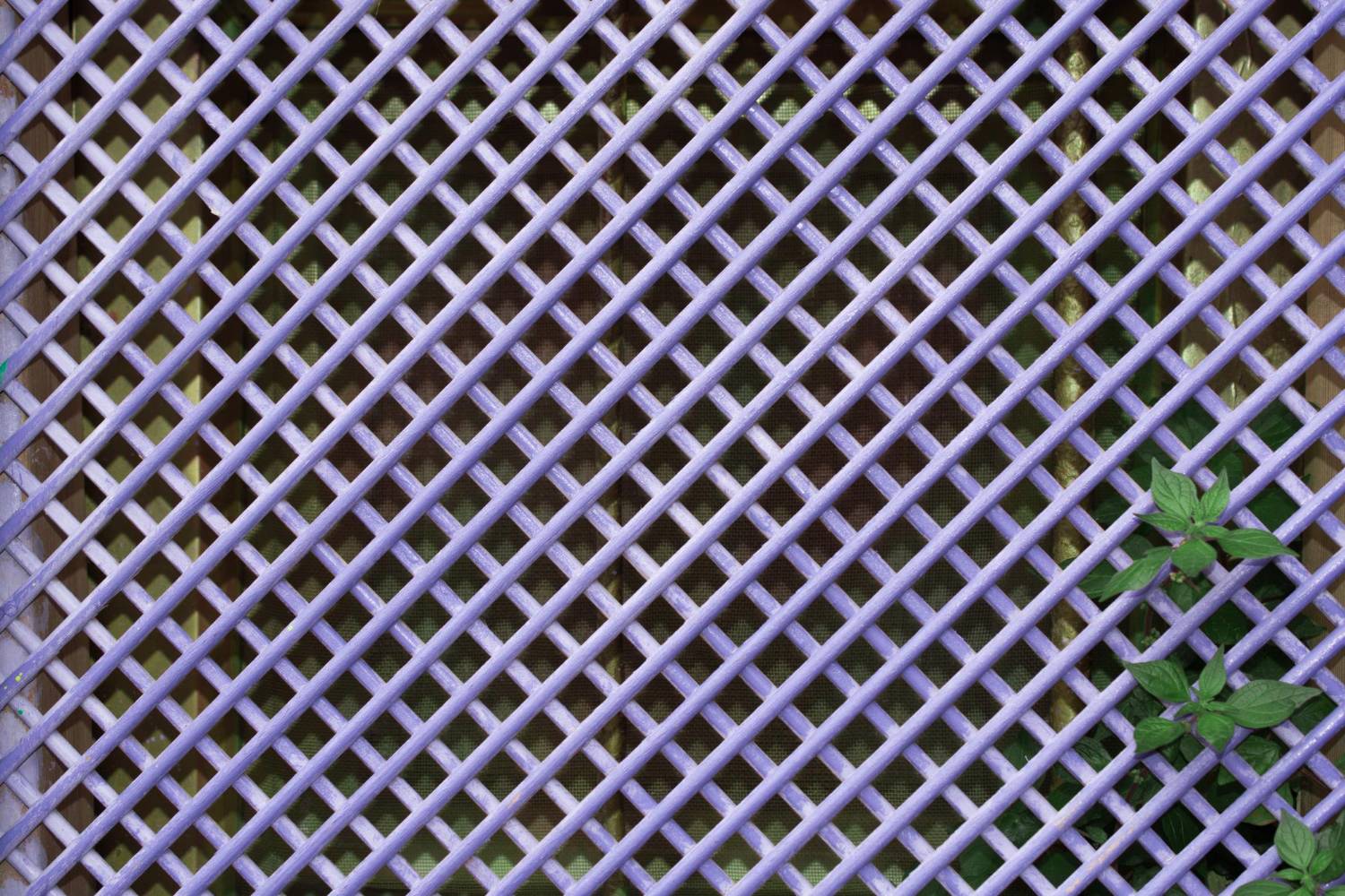 Colordul wooden stick form wood backgroud texture in view