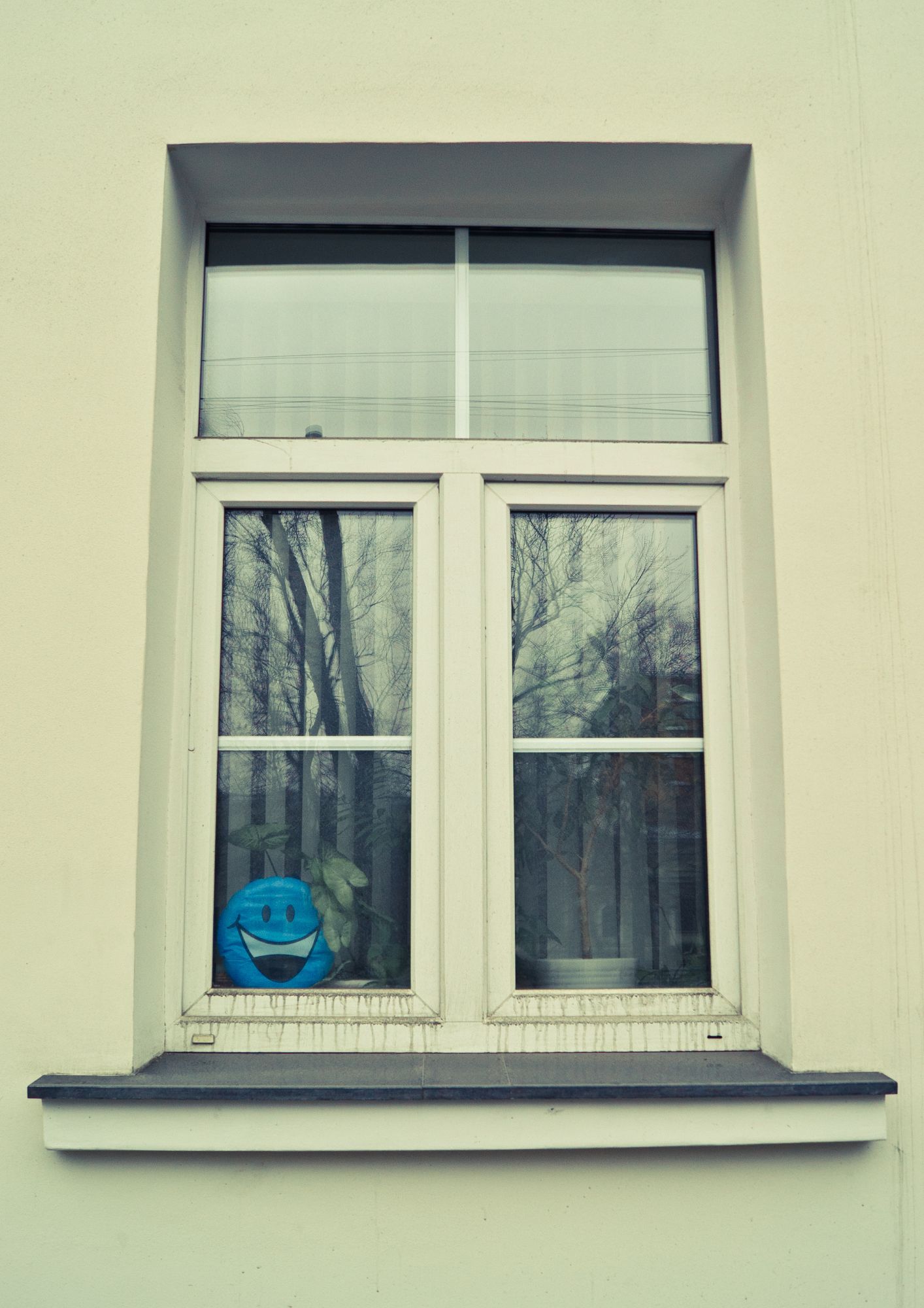 Soundproof Window