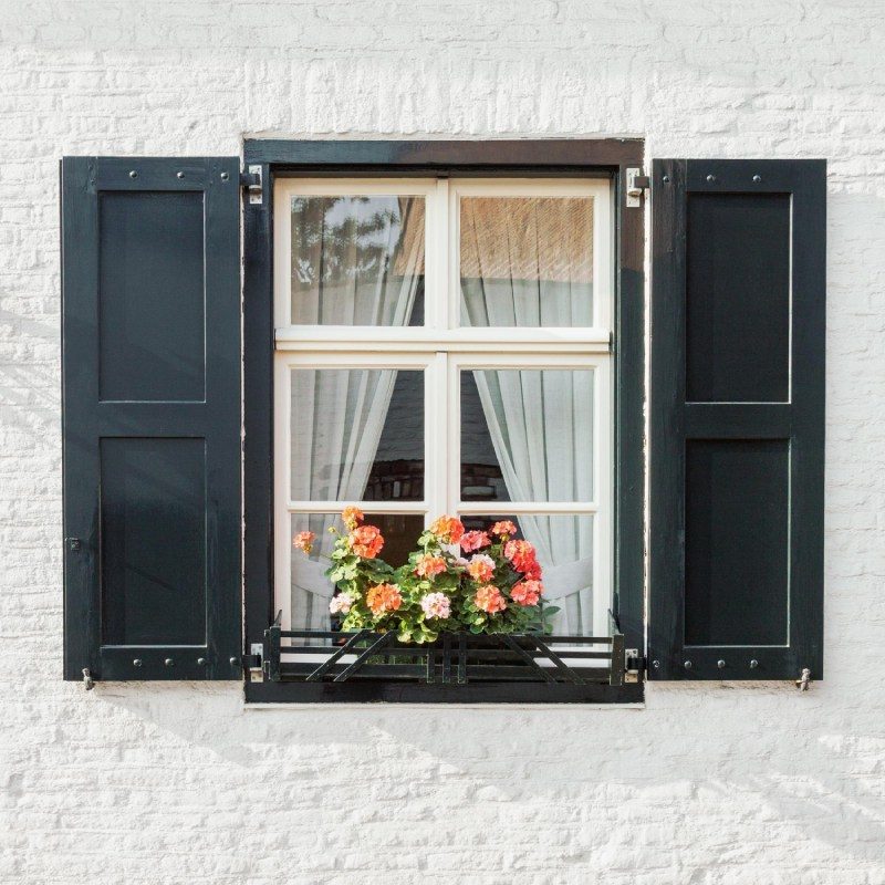 Hung Window
