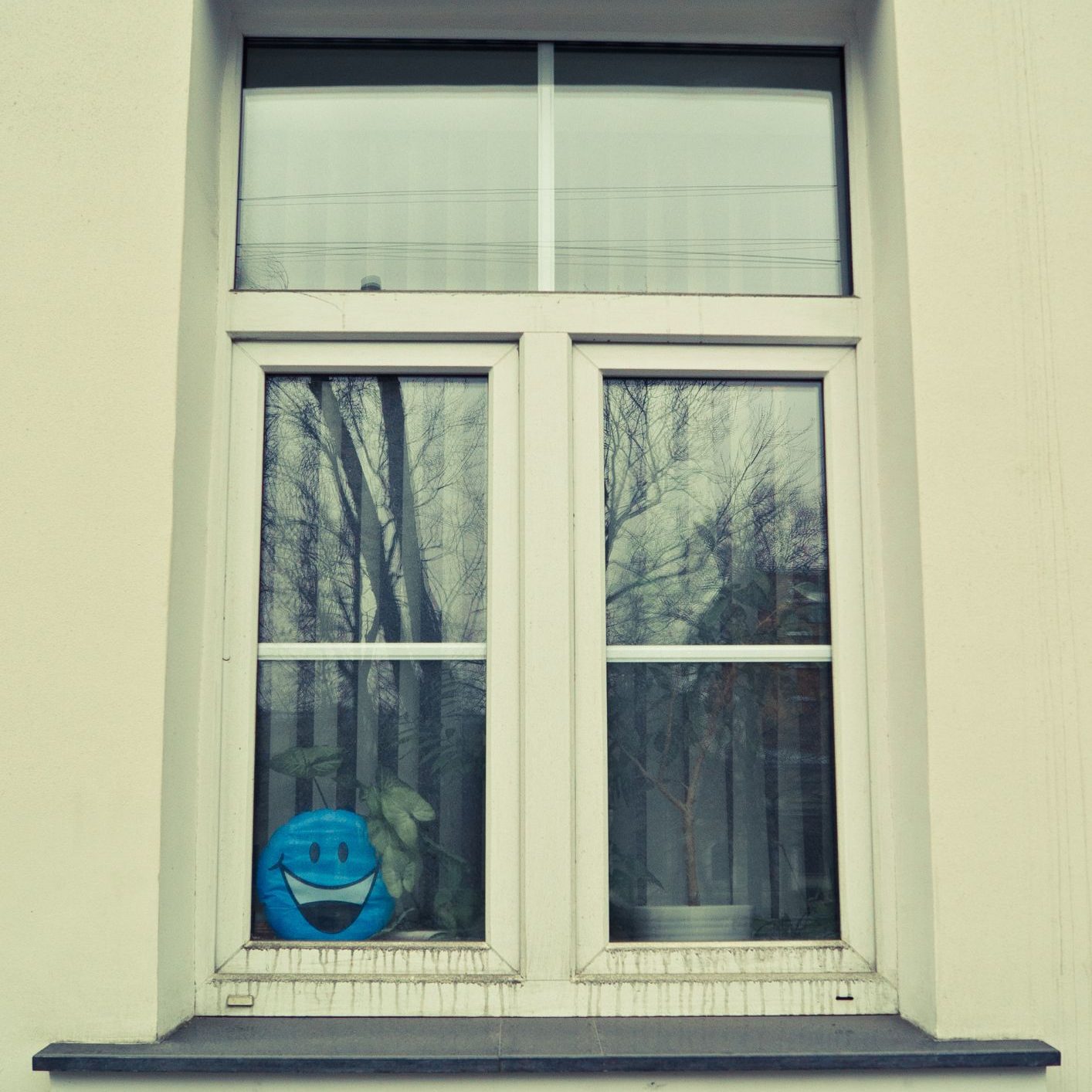 Soundproof Window